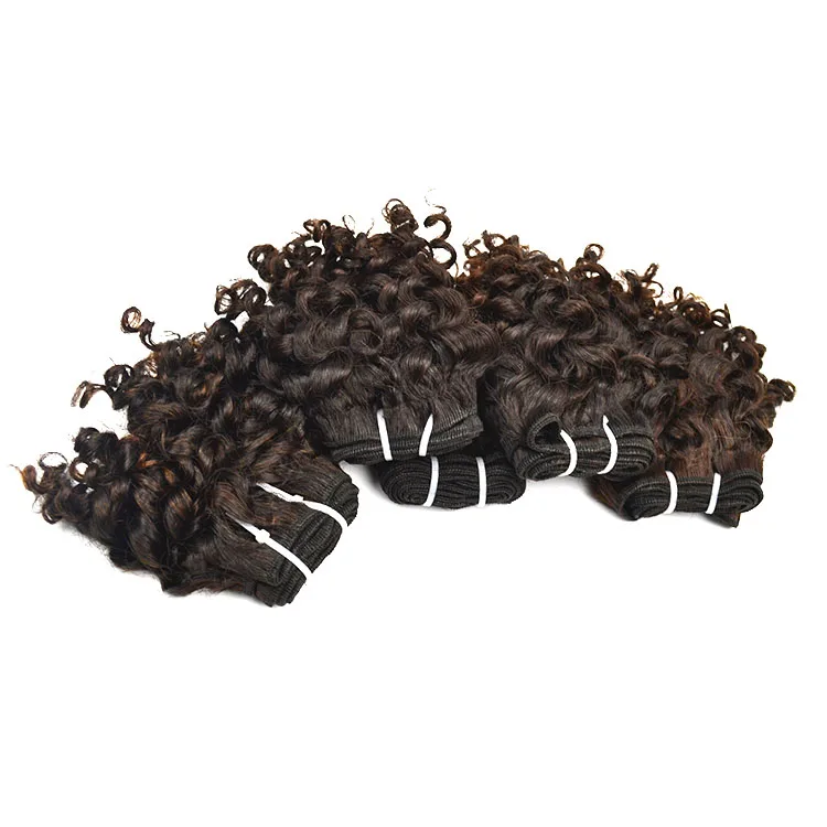 
High Quality Virgin Mayanmar Cuticle Aligned Burmese Raw Hair 5C Afro Kinky Curly Human Hair 
