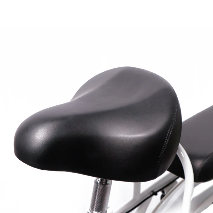 TAIQI N5 Китай груз 48V350W одиночный высокоскоростной Электрический спортивный велосипед с литий-ионной батареей 10AH