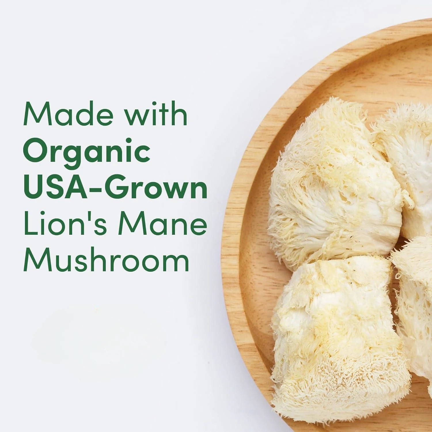 Private Label 10 in1 Reishi Cordyceps Mixed Mushroom Extract Powder Organic Lions Mane Chaga Extract Blend Mushroom Powder