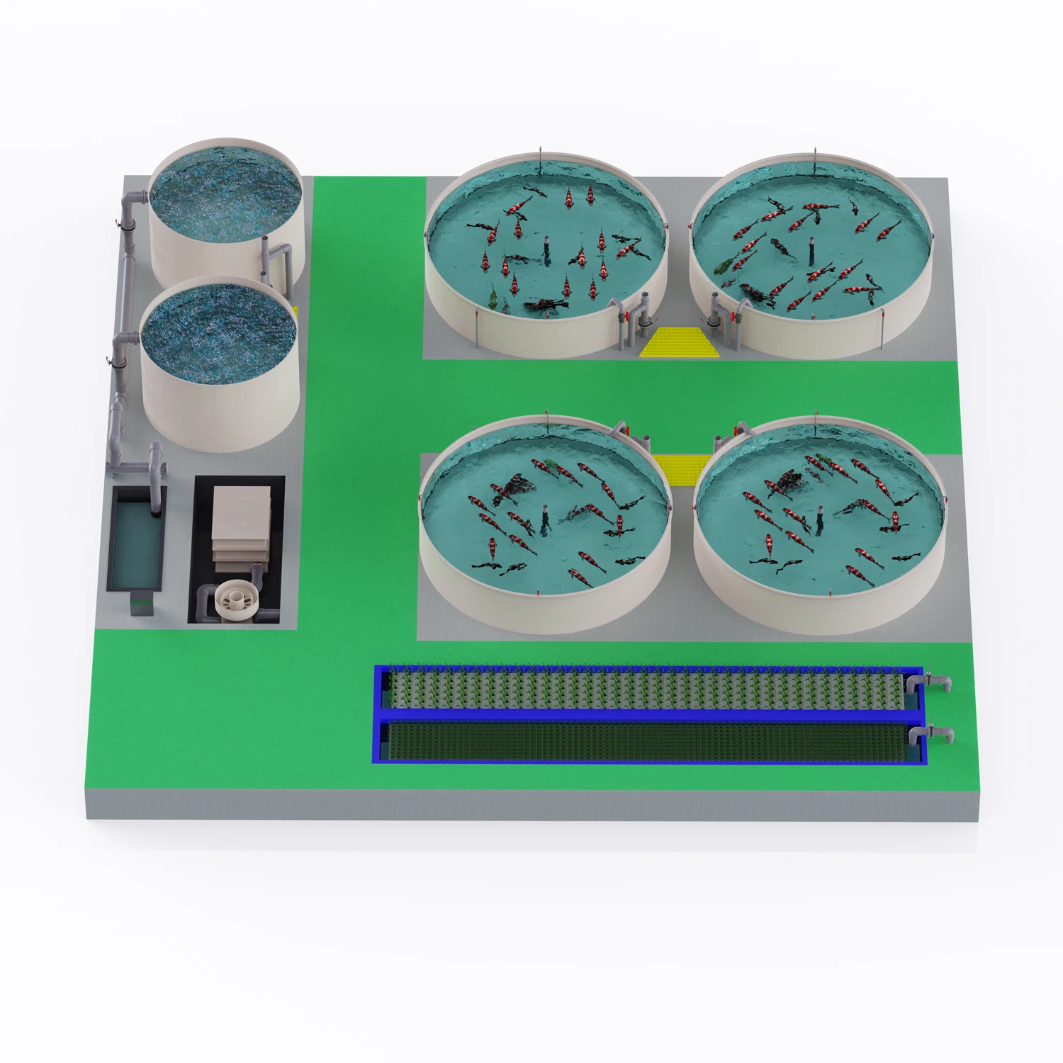 Aquaculture Equipment for Circulating Water Culture Fish Paragenesis Filter and Drum Filter with Protein Skimmer