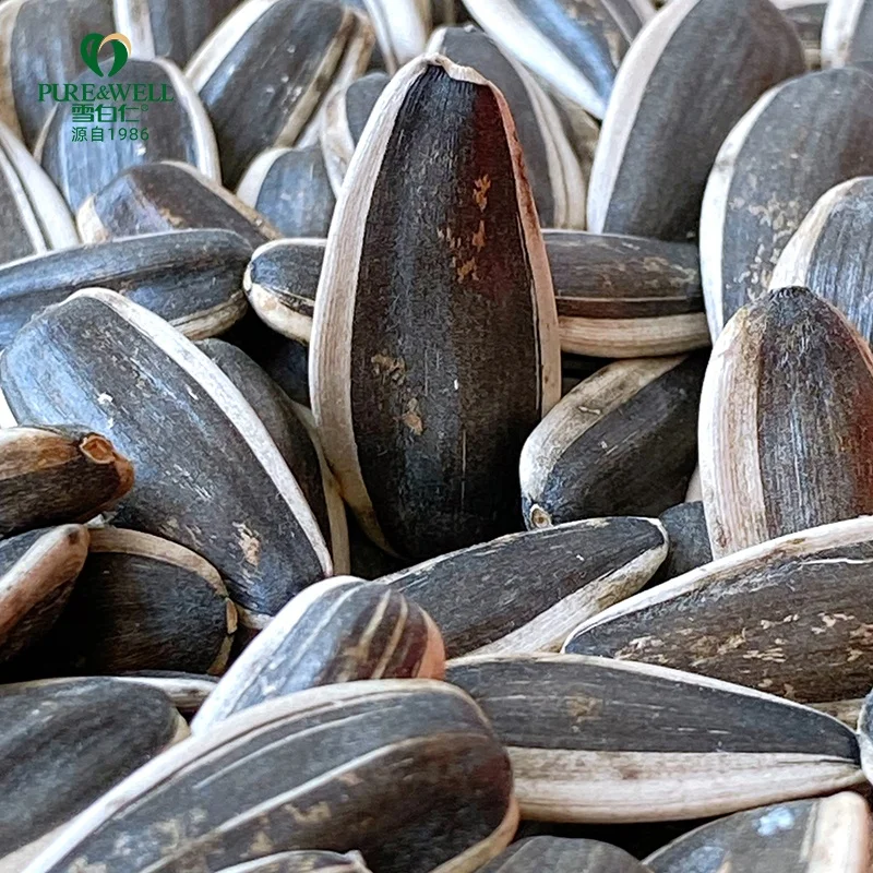 Big size Chinese wholesale home use sunflower seeds sheller bulk sunflower seeds 363