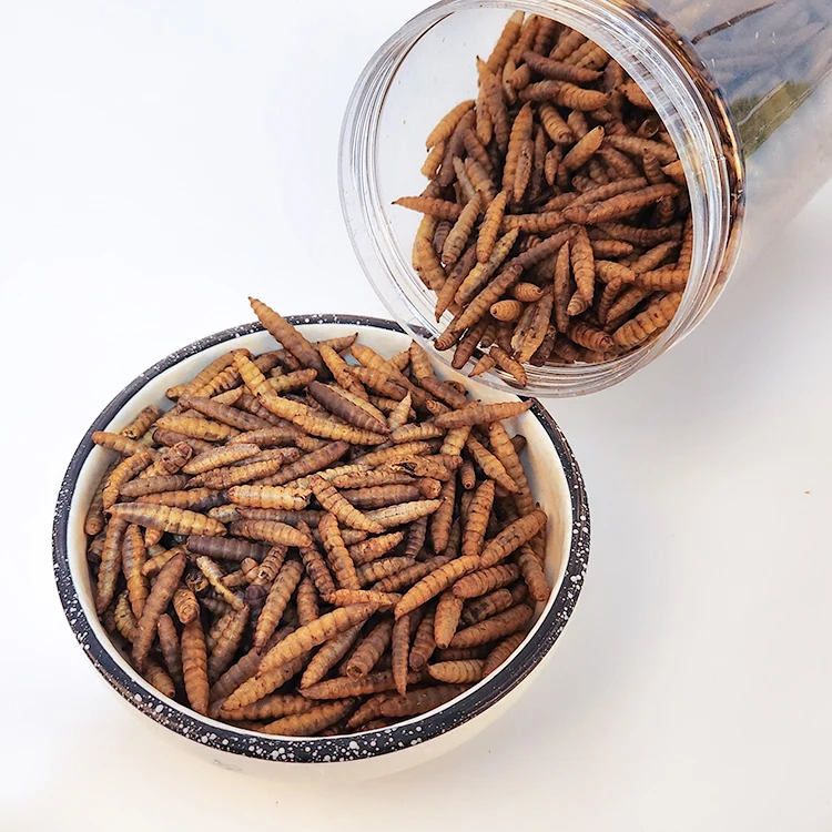 Factory Direct Price Pet Food Dried Black Soldier Fly larvae Reptile Food  For Sale mealworms dried