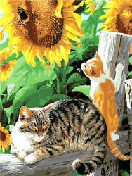 Animals Paint by Numbers DIY Paint by Numbers Cat Wolf Birds Rabbit Oil Painting Set Home Decor Wall Decor Adult Gift Artwork