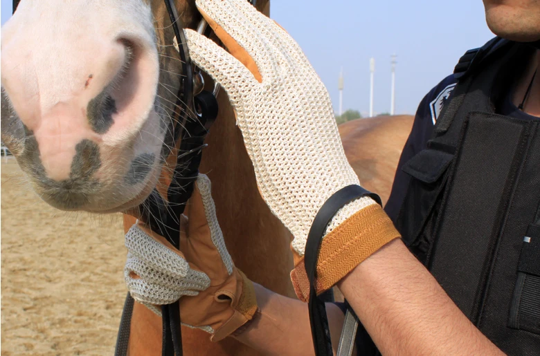 
Manufacturer hot sale horse riding gloves pigskin leather breathable and wearable custom logo 