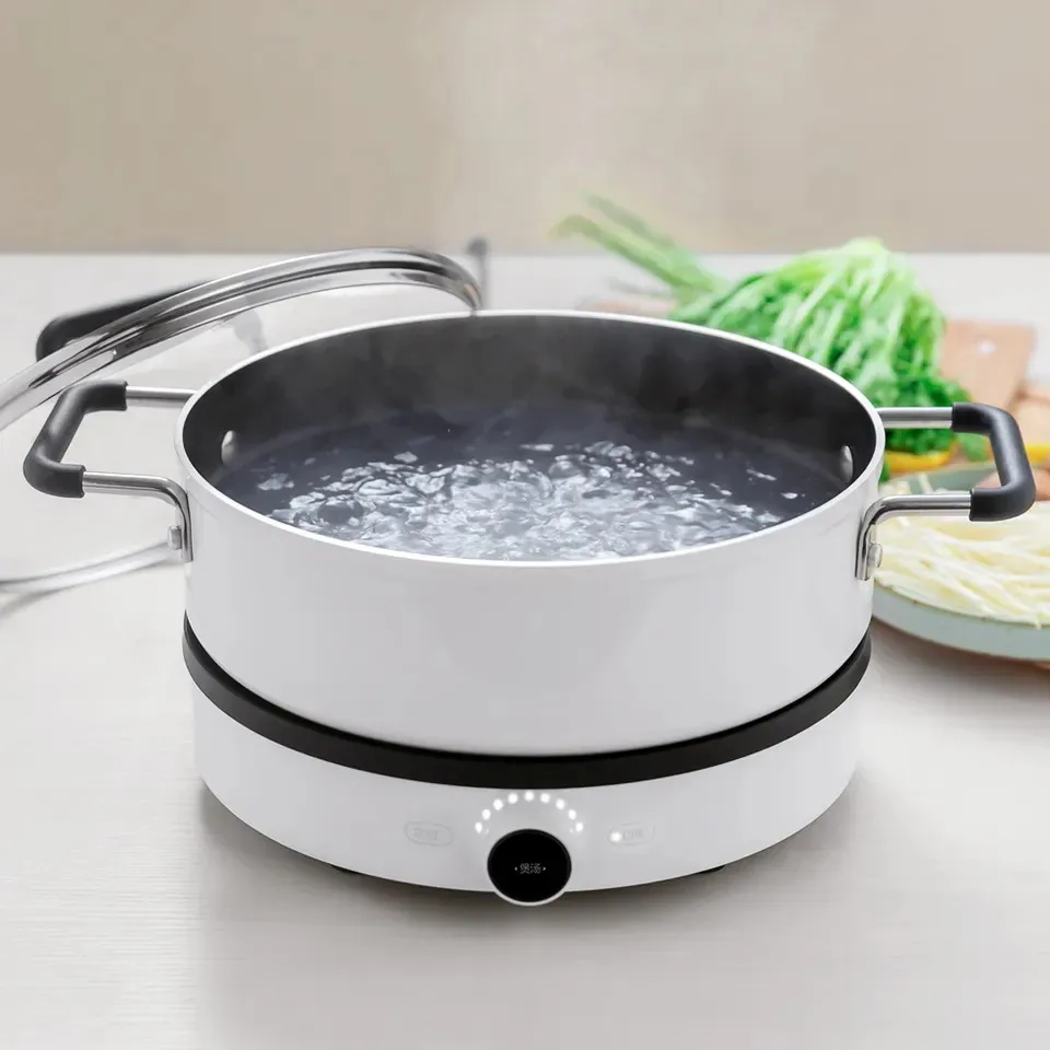 Индукционная варочная плита для кухни 2100