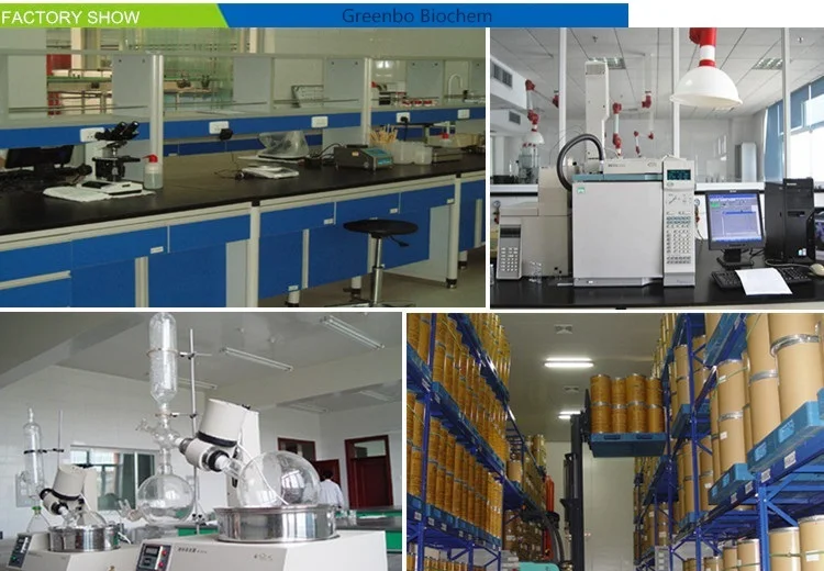 
ISO Certified Factory supply 99% 6000-43-7 Glycine hydrochloride 