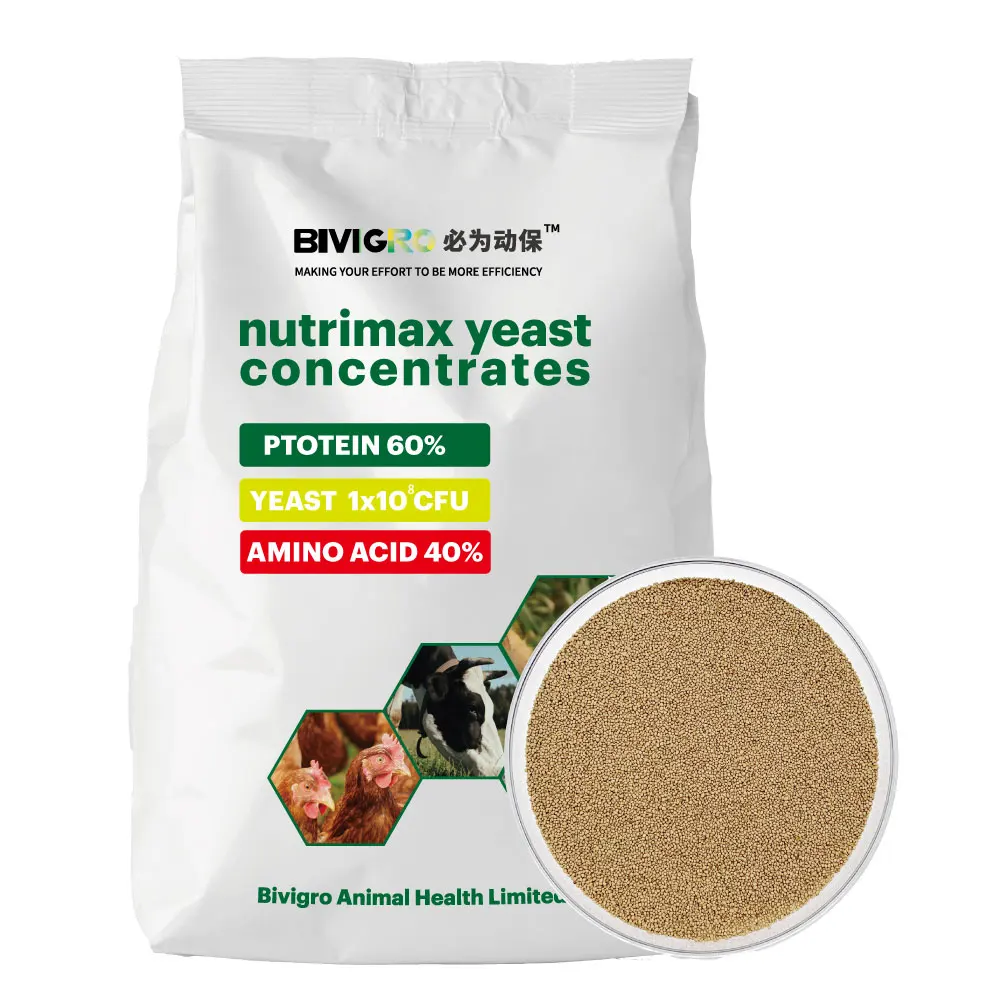 For Growth Promotion Yeast Feed Protein 60% For Supply Nutrition And Probiotic 10x10(11) cfu/g