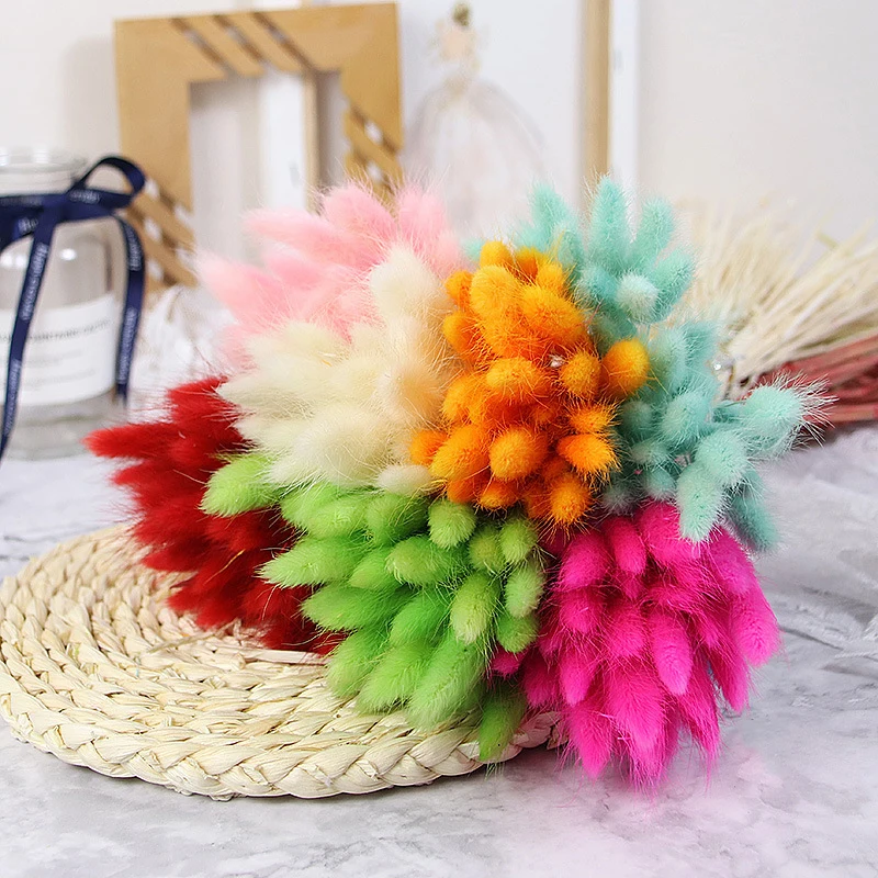 Dried Flowers Lagurus Ovtus Foxtail Grass Rabbit Tail Bunny Tails Wholesale Decorative Real Natural for Wedding Home Decor