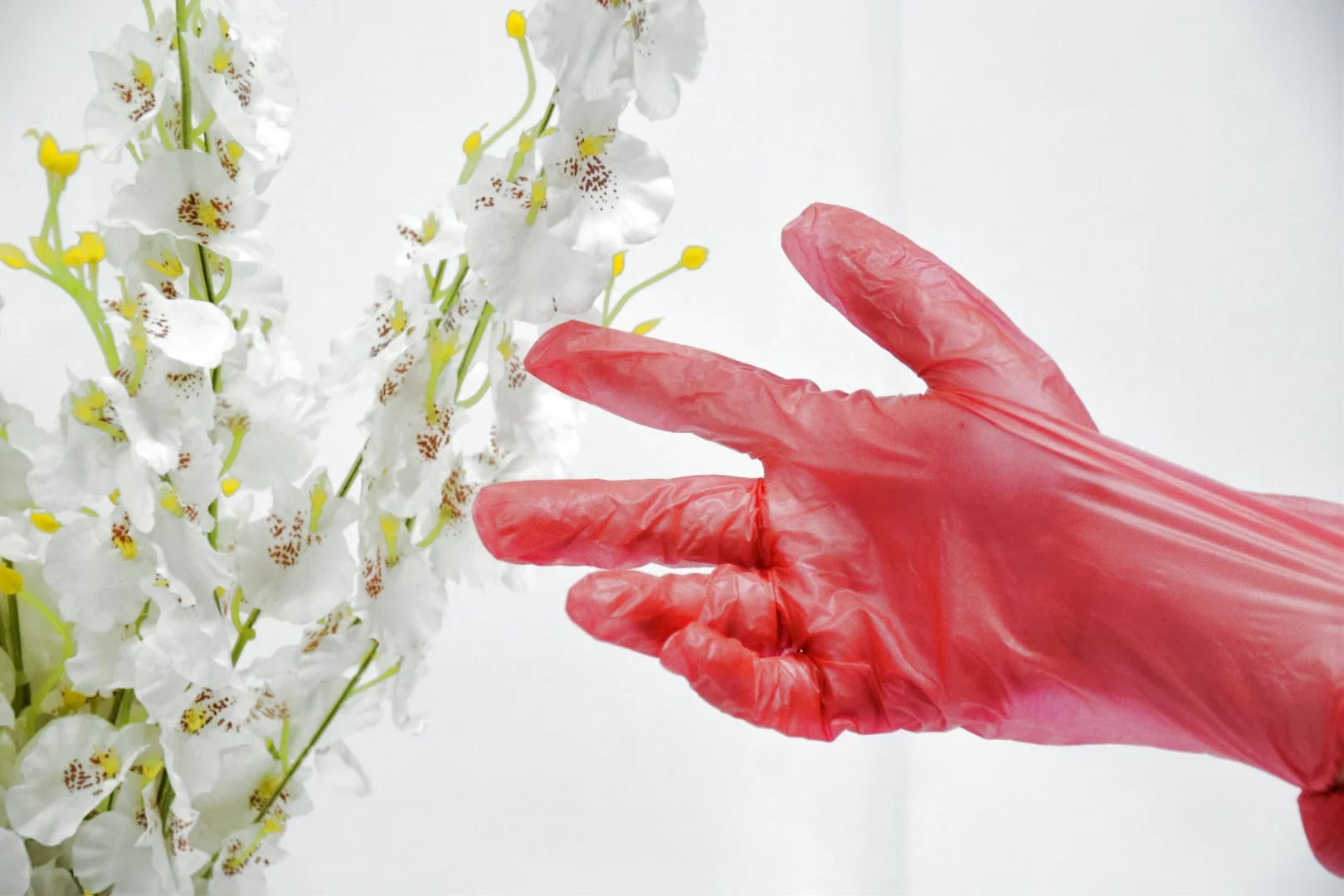 High Quality Hot Sale Waterproof Pvc Glove Kitchen Worker Wholesale Gloves Cheap Vinyl Exam Gloves