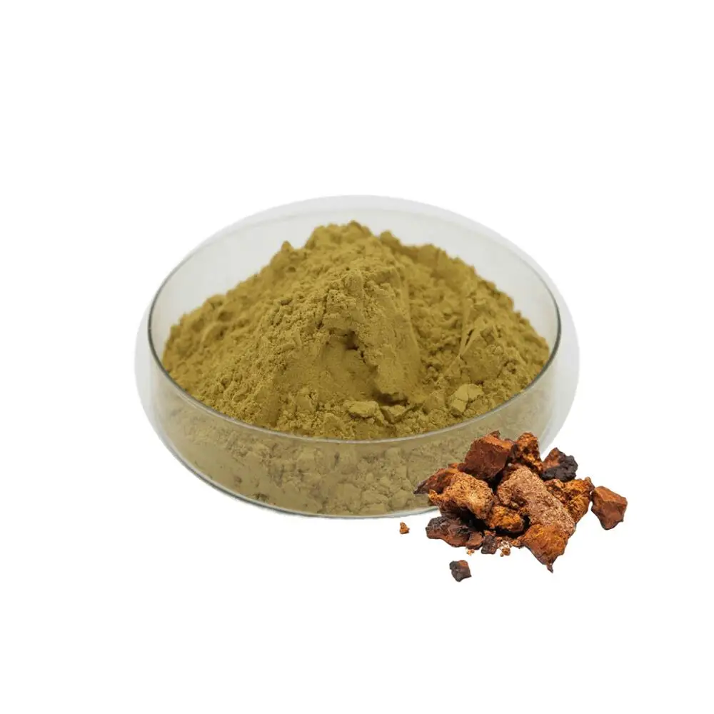 Wholesale Chaga Mushroom Powder Chaga Mushroom Extract Chaga Extract Powder