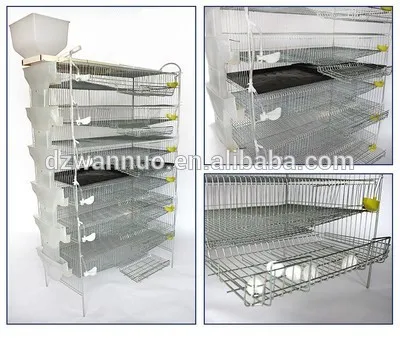 Factory direct price quail cage Made In China Low price