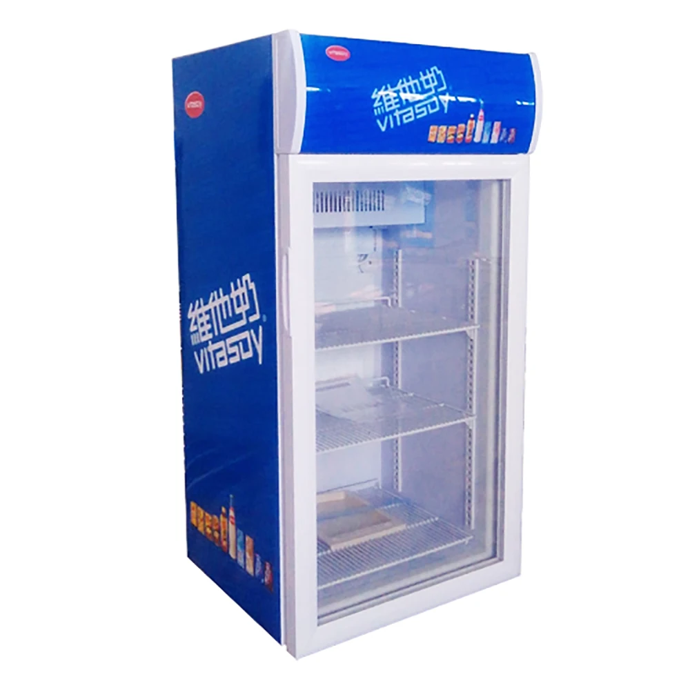 High Effect Cooling Low power Home Used Mini Compact Cooler Fridge with LED light