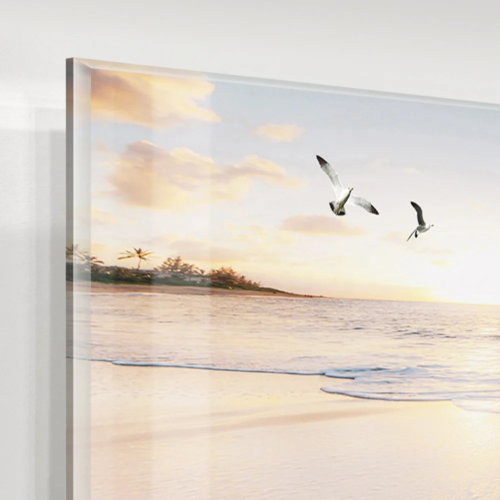 Customization Seascape Sea Gull Beach Acrylic Art Prints Canvas Oil Painting Wall Picture Glass Art for Sofa Background