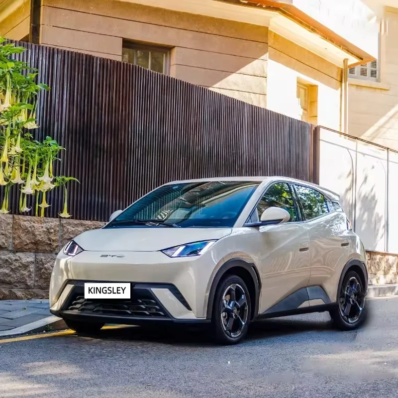 Мини-автомобиль 2024 byd Чайка дальний радиус действия 405 км чистый электрический умный автомобиль новой энергии с функциями автономного полета