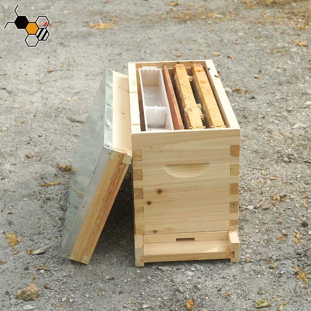 5 Frames beehive nuc bee box wooden langstroth nuc box cardboard nuc box bee