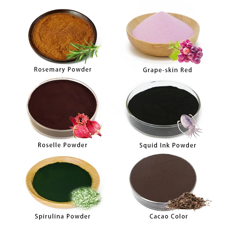 Plant Extract Powder Fruit Extract Powder Vegetable Powder