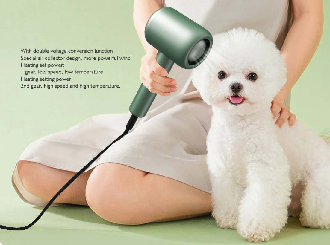 New Best Seller Foldable Mini High Power Magnetic Portable Travel Hotel Professional Blow Cepillo Secador Ionic Hair Dryer