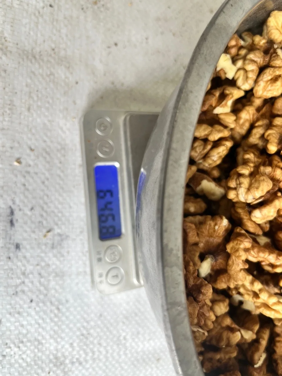 Wholesale Natural Organic Top Grade White Walnuts kernels