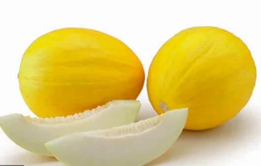 
Moroccan farms high quality fresh fruits sweet canary yellow melon for sale 