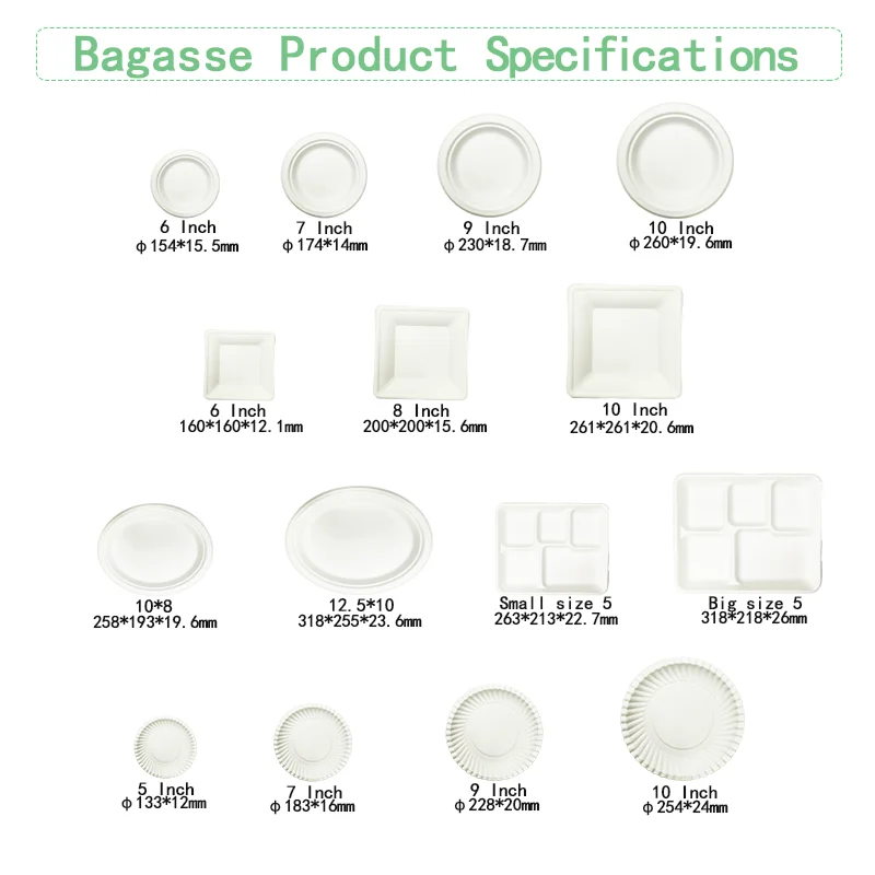 Ok Compost coffe cup Disposable Sugarcane Cup with 6OZ 8OZ 12OZ 16OZ Bagasse Pulp Biodegradable Hot Drink Cup with 80mm 90mm Lid