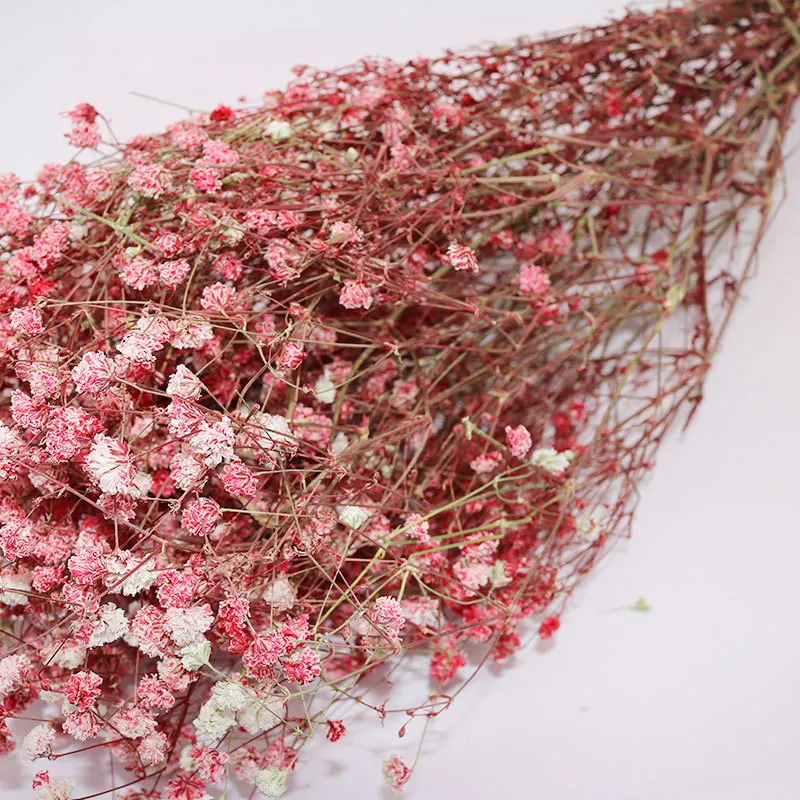  Домашний декор красивый красочный цветок babysbreath gysophila сохраненный гироскопиальный свадебное