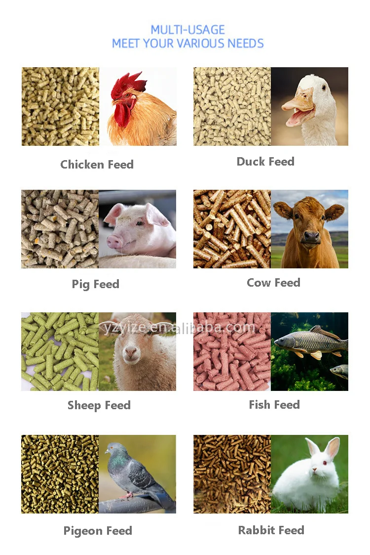 Home Use Diesel Engine Electric Pour Aliments Food Pelletizer Extruder Granuls Pellet Mill Machine For Animal Feeds