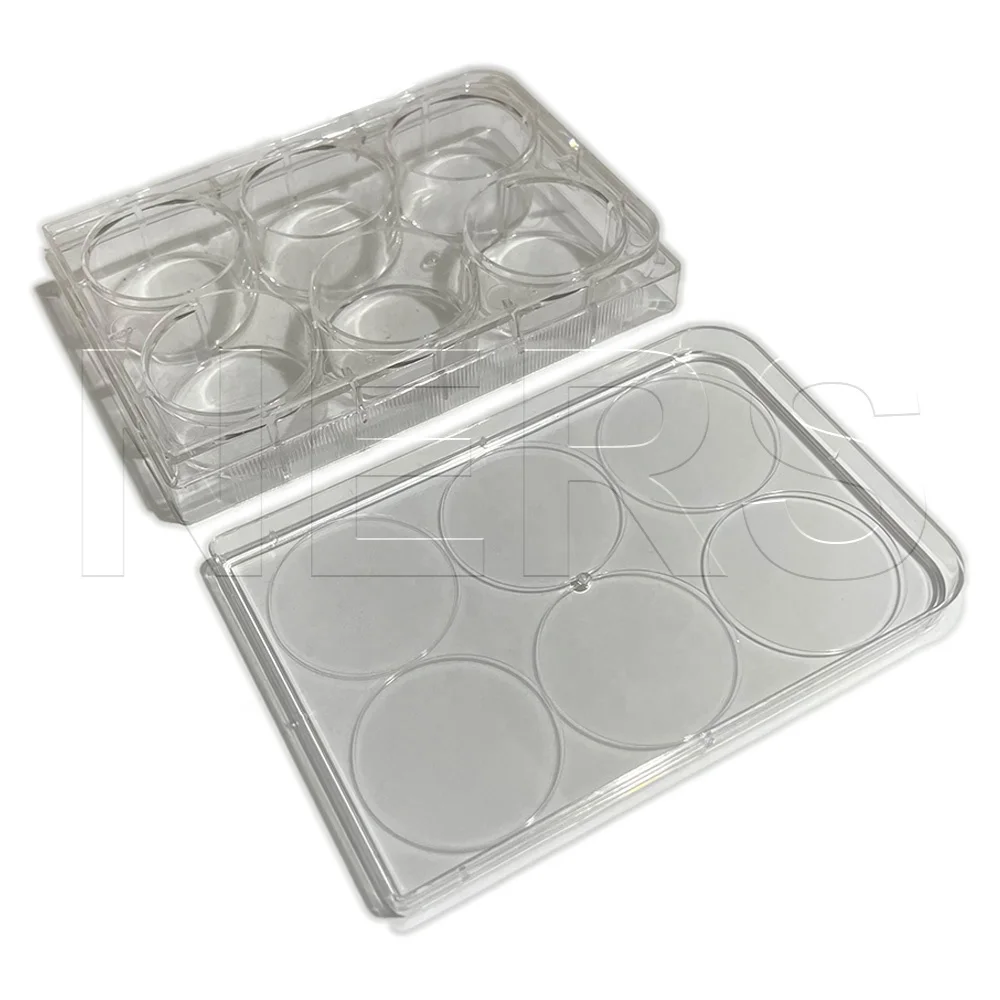 NERS Biological School Experiment Tools Clear Rectangular Plastic Reaction Plate with 6 Wells
