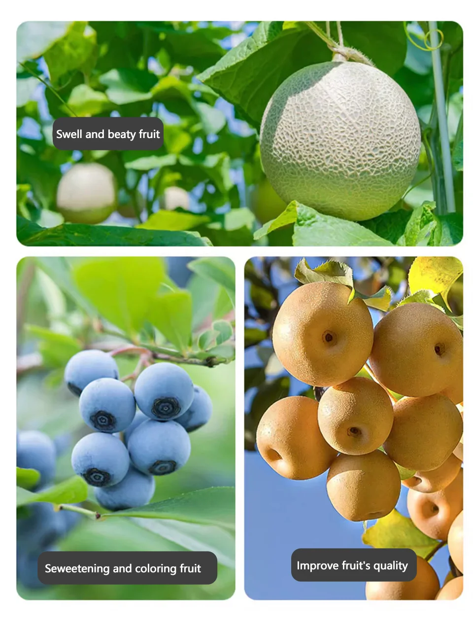 Superior macroelement water soluble fertilizer high potassium type NPK fertilizer for fruit trees