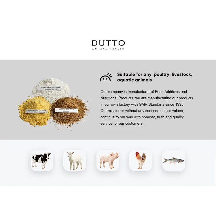 Голубь премикс мульти витаминный порошок желудочно-кишечный болезни для птицы холода и гриппа корма