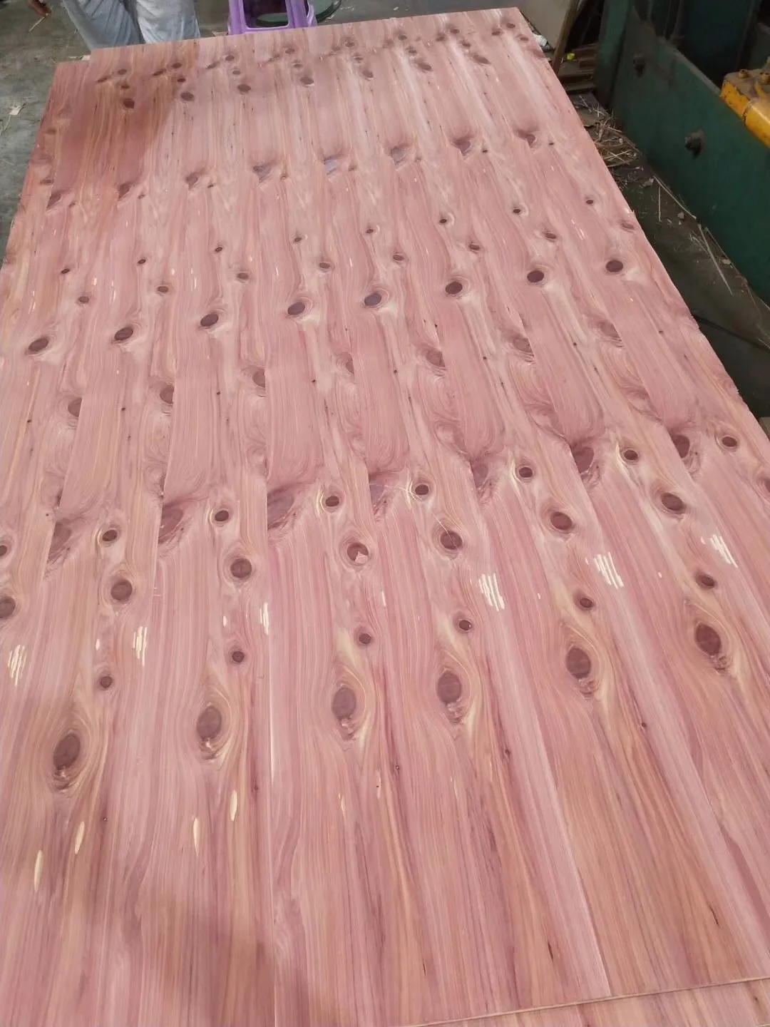 High gloss natural solid wood veneer corrosion resistance American eastern red cedar veneer for outdoor decorating panel