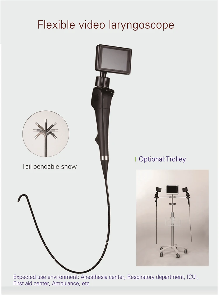 aneasthesia endoscope