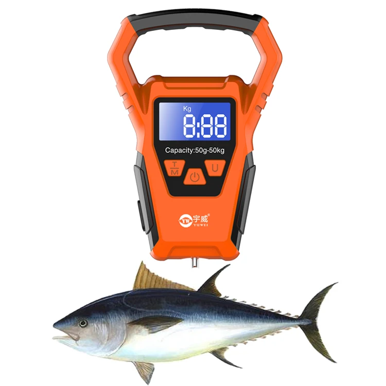 Portable 50 KG Digital Waterproof Fishing Scale with 1.5m Measuring Tape Electronic Handle Fish Scale