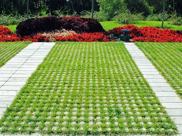 Outdoor Patio Pavers Plastic Molds for Lawn tiles Providing a Sturdy Solid Stepping Surface in Muddy Areas