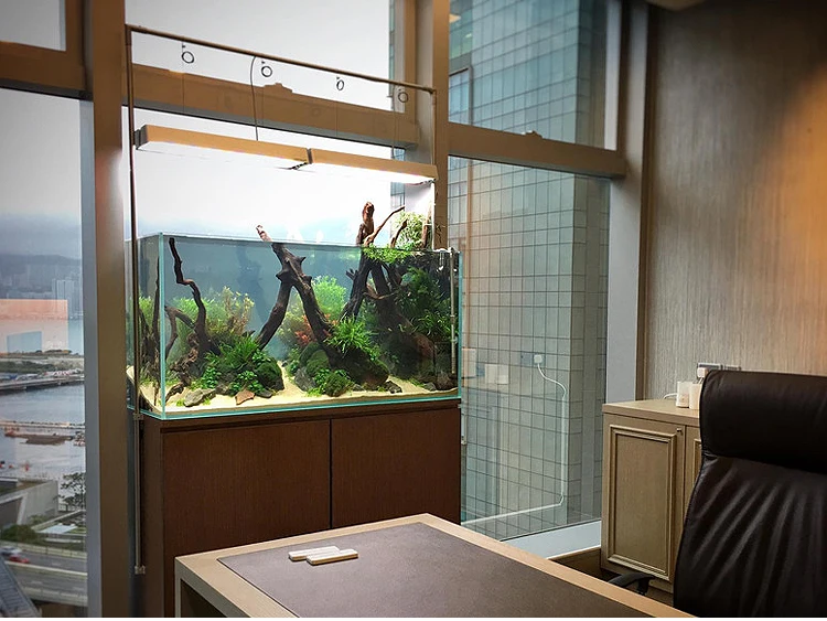 Transparent Jellyfish Water Aquarium Acrylic Glass Large Aquarium Fish Tank