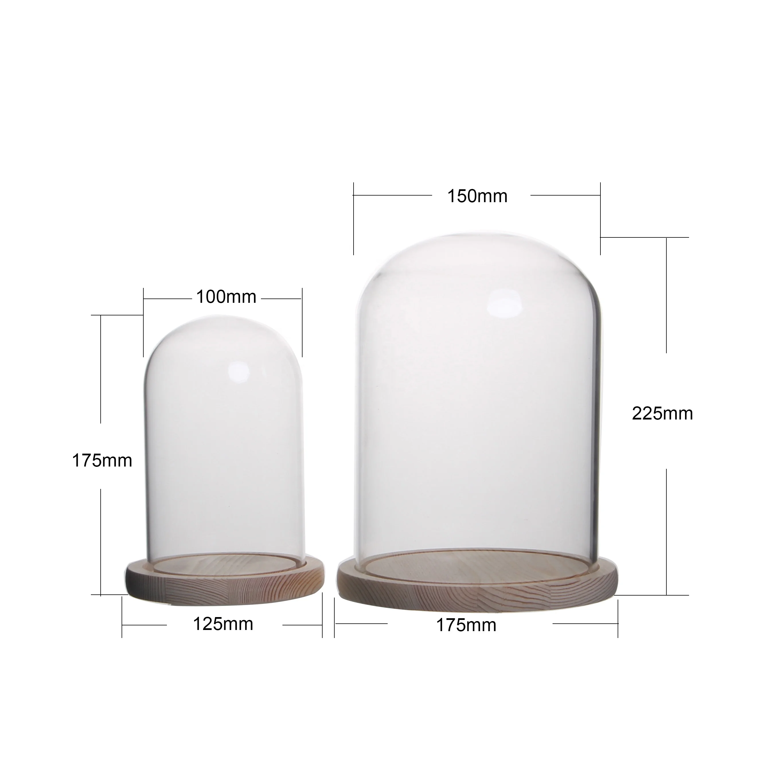 Luxury Flower Glass Jars with Transparent Glass Dome Glass Cover Vase-Various Sizes for Home Candles Unique Holder Box Packing