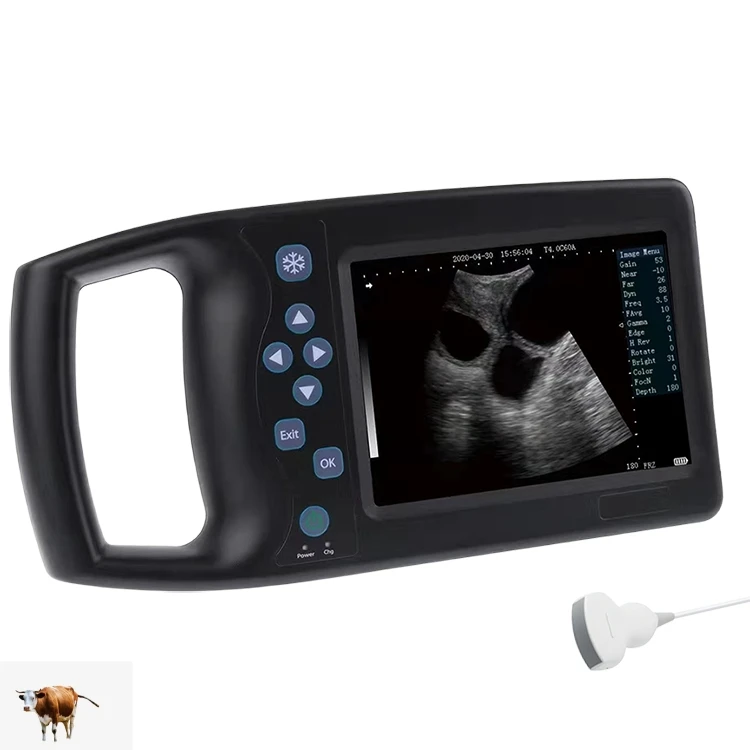 5.7 inches Portable Pregnancy Veterinary Ultrasound  Machine Diagnosis UltraSound with Convex Probe