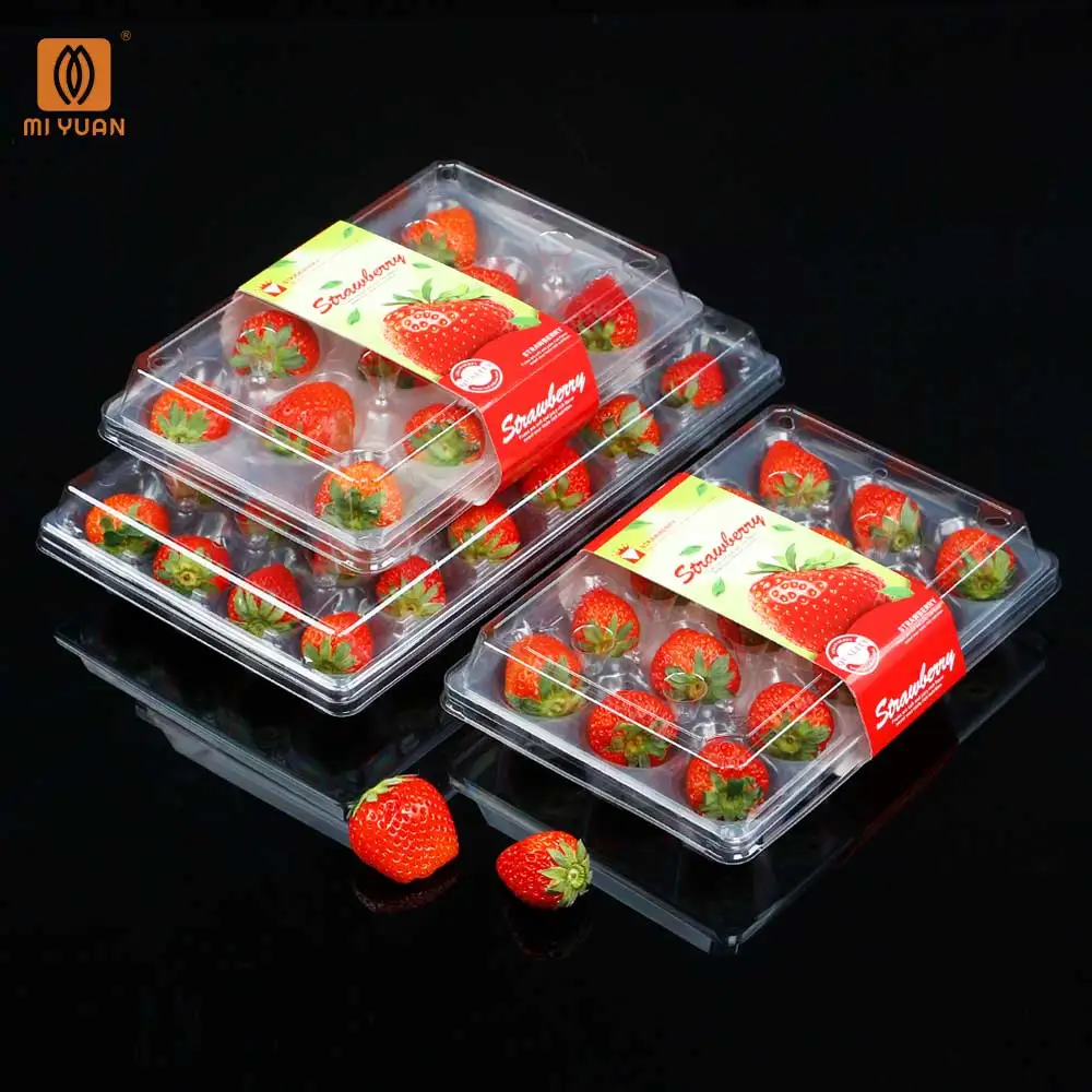 Premium Transparent Food Grade PET Plastic Disposable Packaging Box Container Chocolate Strawberry Fruit Tray with Lid