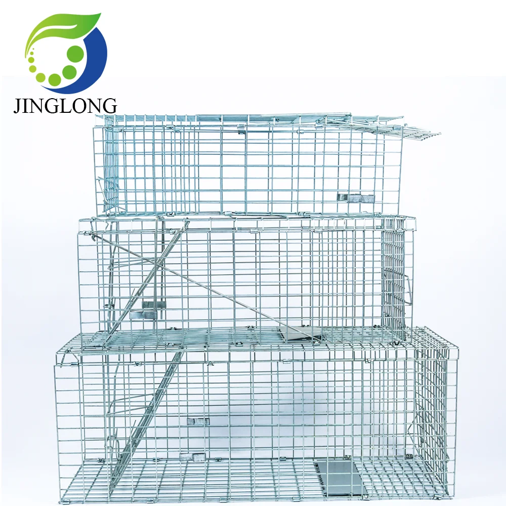 Buy Galvanized Stray Feral Cat Raccoon Living Animal Traps Cage For Sale