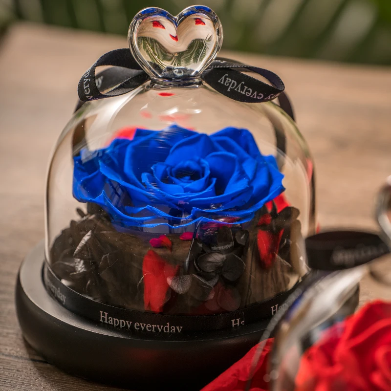 Dymalo Best Christmas Gift Roses Stabilized Preserved Flower Eternal Rose in Glass Dome