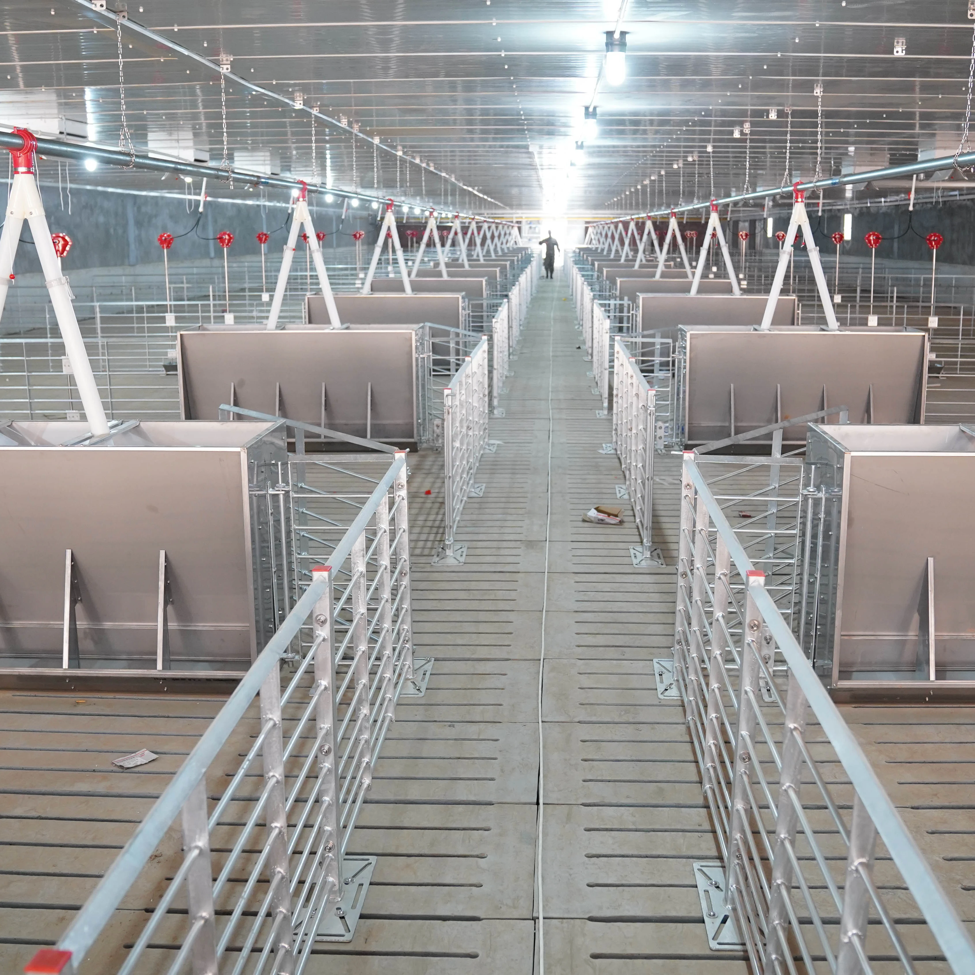 Ящики для свиней, оцинкованные стойки для беременности, ручки для фермы, клетки для животных, курица