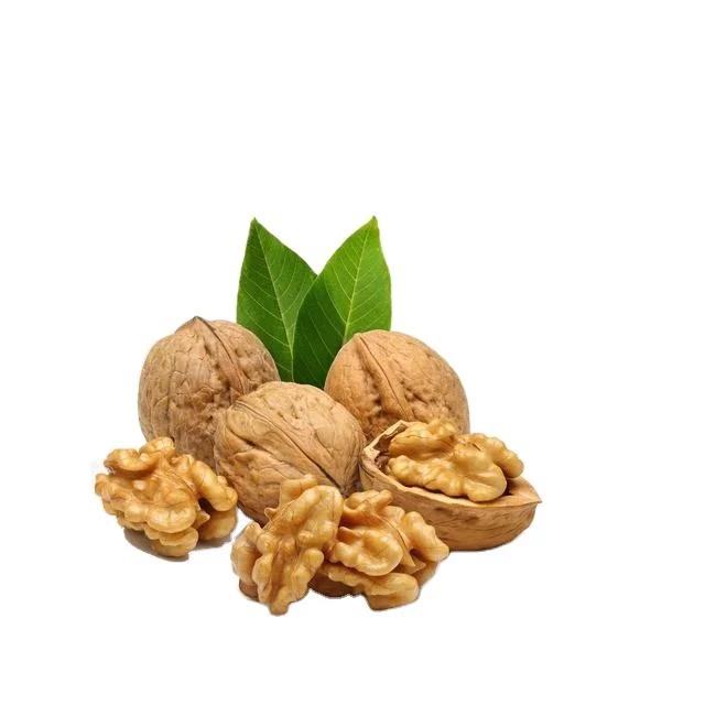 Chinese wholesale walnuts in shell