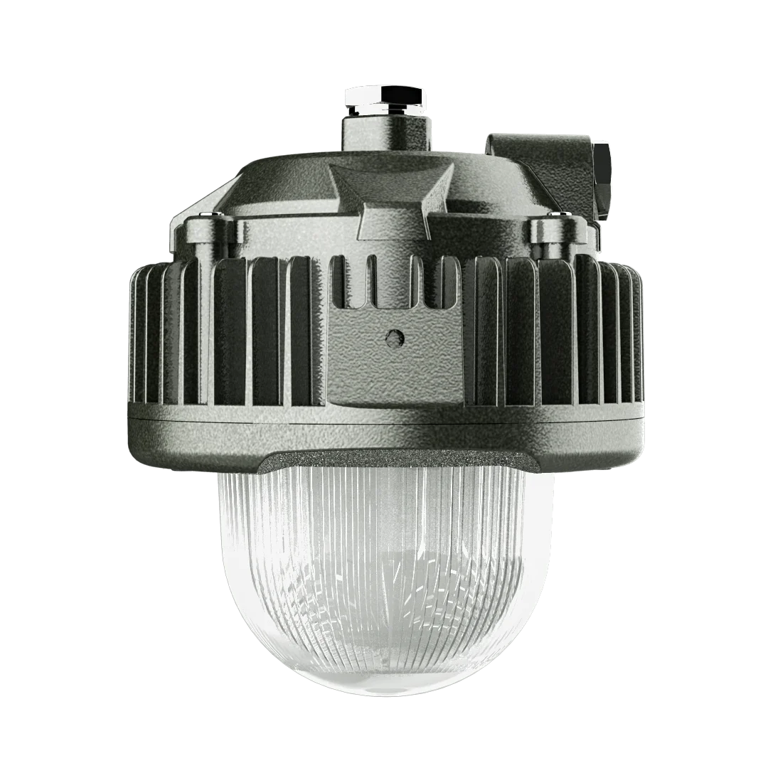 ATEX 10w 20w 30w 40w hazardous area zone1 zone2 class 1 2 lighting platform light IP66 pendant LED explosion proof fixture