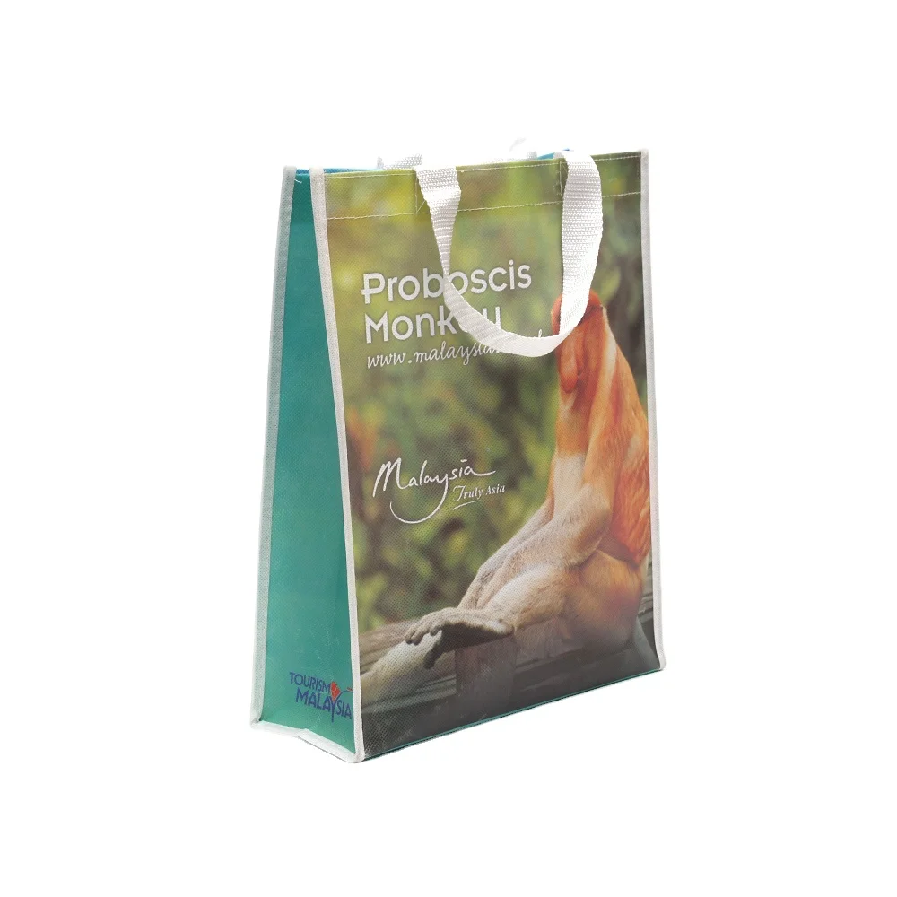 Economical Custom Design Non-woven Tote Eco Friendly Reusable grocery bag