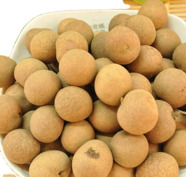 
567g Packing Canned Longan Cheap Canned Fruit 