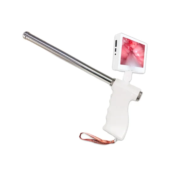 BMV Camera Insemination Ruminants Inspection Uterus AIG Vision Cattle Artificial Gun