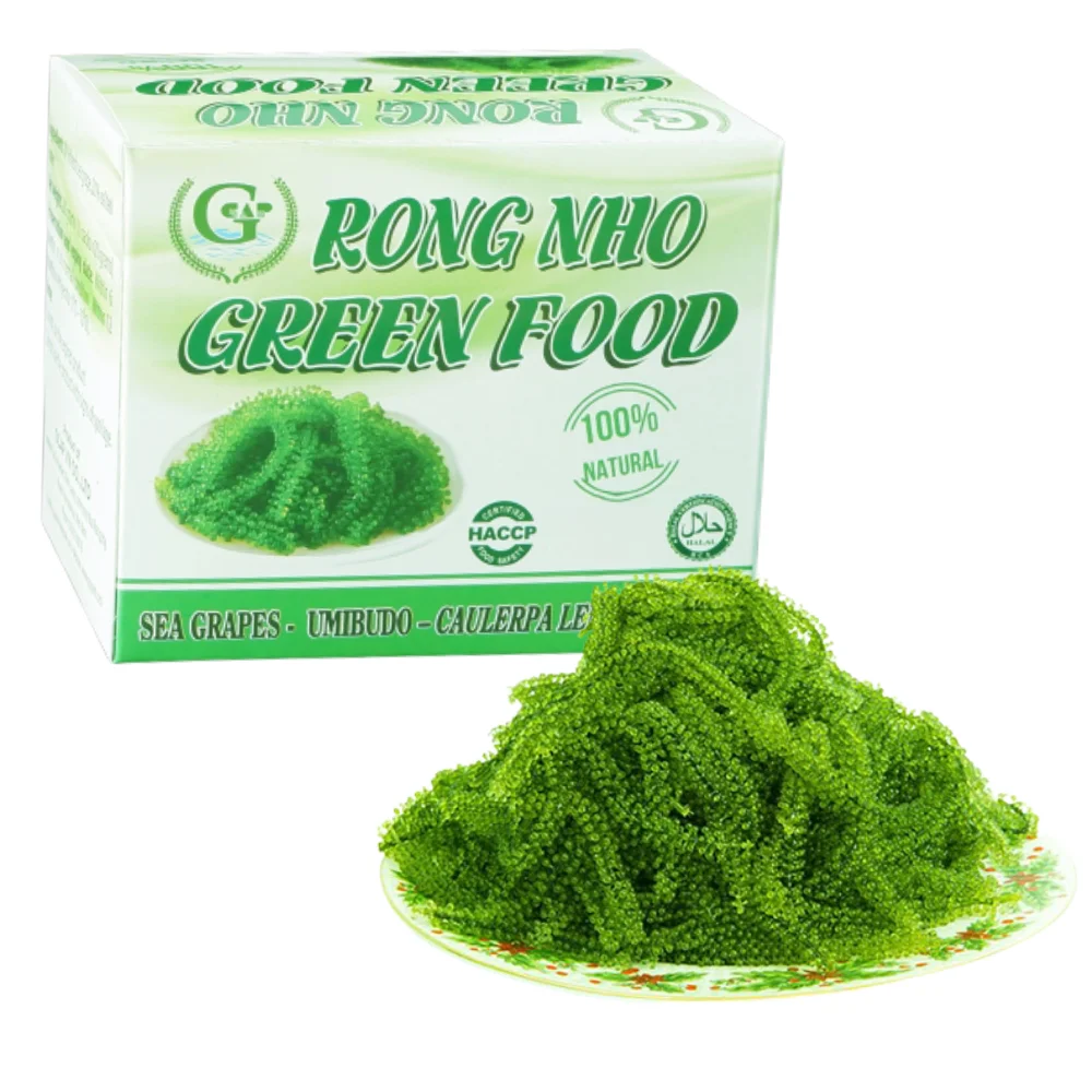 High Nutritious Salted Seaweed Sea Grapes Top Favorite Dried Fresh Laver ISO Certification Halal Approved Packaged Carton Box