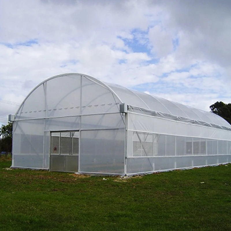 Commercial Low Cost Greenhouse Hydroponics Agriculture Polytunnel Greenhouse