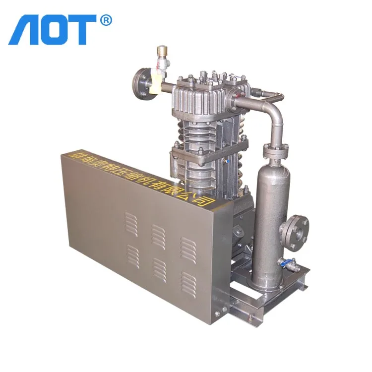 Custom China Manufacturers Biogas Compressor 250bar Methane Gas Digesters Methane Compressor for Sale