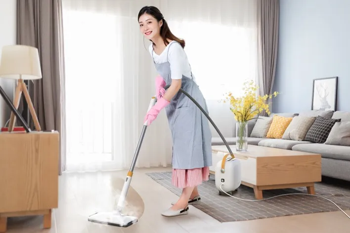 2021 China Car Washer Multifunction High Pressure Steam Cleaner Professional Steam Cleaner Cleaning Appliances