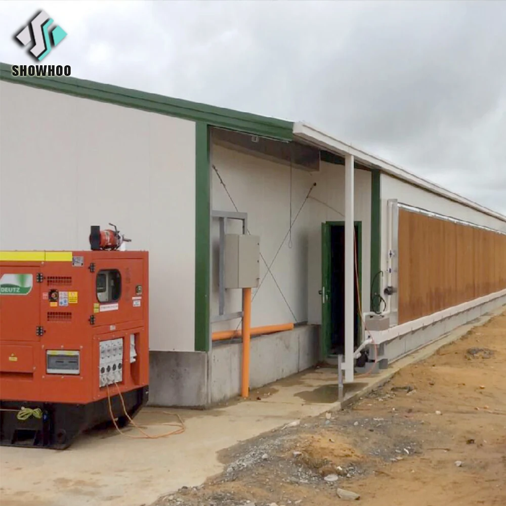 Directly Factory supplying egg layer poultry shed chicken farm house for 10000 chickens